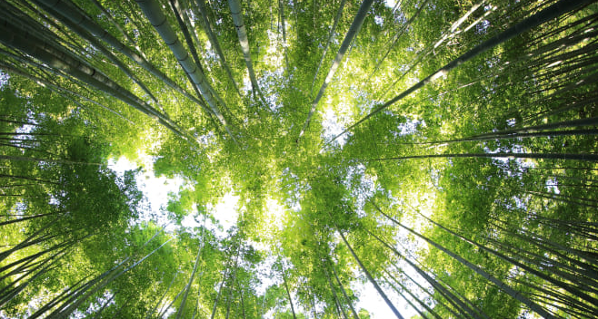 sustainable business strategy