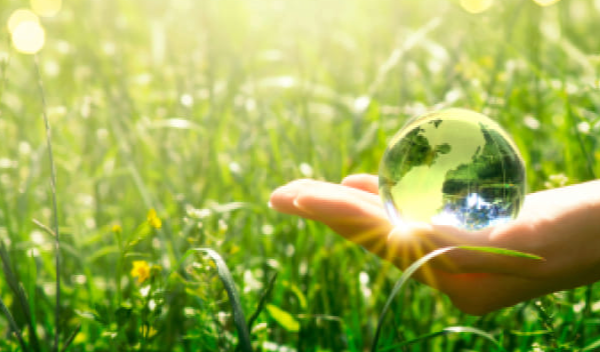 Exploring the Benefits of a Circular Economy